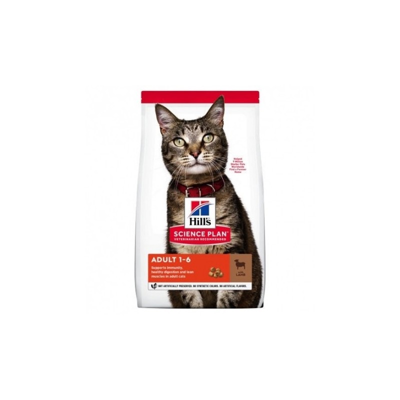 Hills Adult Optimal Care Cordero Science Plan pienso gatos