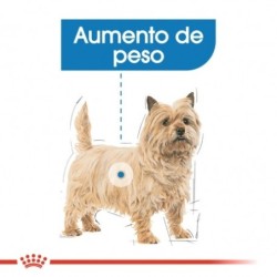 Royal canin mini light pienso perros raza pequeña