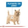 Foto 7 de Royal canin mini light pienso perros raza pequeña