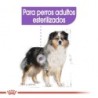 Foto 4 de Royal Canin Dog Adult Medium Sterilised 12 Kg