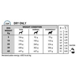 Royal Canin Veterinary Diets Anallergenic, Peso 8 Kg