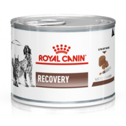 Royal canin recovery dieta para perros/gatos lata