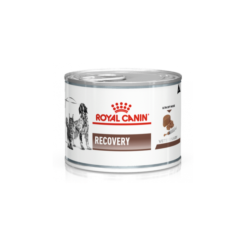 Royal canin recovery dieta para perros/gatos lata