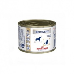 Royal canin recovery dieta para perros/gatos lata