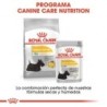 Foto 6 de Royal Canin dermacomfort pouch. Comida húmeda para perro