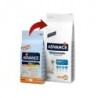 Foto 2 de Advance Maxi Adult Razas Grandes pienso para perros adultos large breed