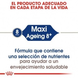 Royal Canin Dog Maxi Ageing +8 15 Kg