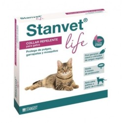 Stangest Collar Stanvet Life Gatos