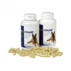 Colaid Vetplus. Apoyo a la salud intestinal