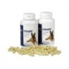 Foto 1 de Colaid Vetplus. Apoyo a la salud intestinal