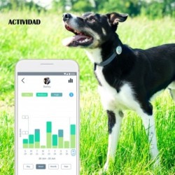 Monitor Animo de Actividad y Comportamiento Para Perros