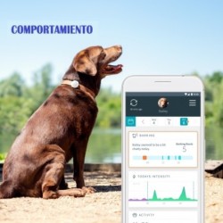 Monitor Animo de Actividad y Comportamiento Para Perros