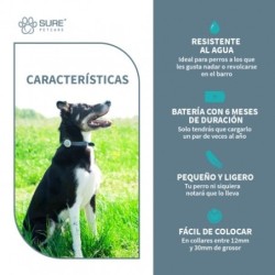 Monitor Animo de Actividad y Comportamiento Para Perros