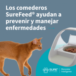 Comedero Automático Microchip SureFeed® Connect Inteligente