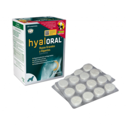 Hyaloral condroprotector para perros de razas grandes