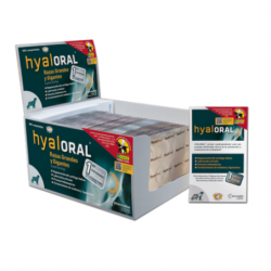 Hyaloral condroprotector para perros de razas grandes