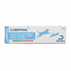 Lubrithal Dechra gel ocular hidratante 10grs. perros y gatos