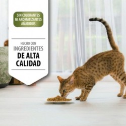 PURINA PRO PLAN Gato Adult 1+ RENAL PLUS Pollo