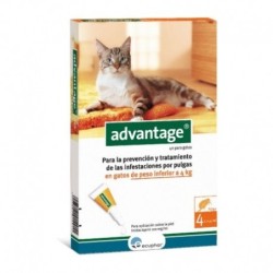 Advantage pipetas antiparasitarias para gatos [2 formatos]