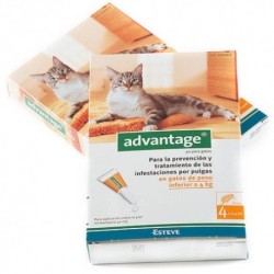 Advantage pipetas antiparasitarias para gatos [2 formatos]