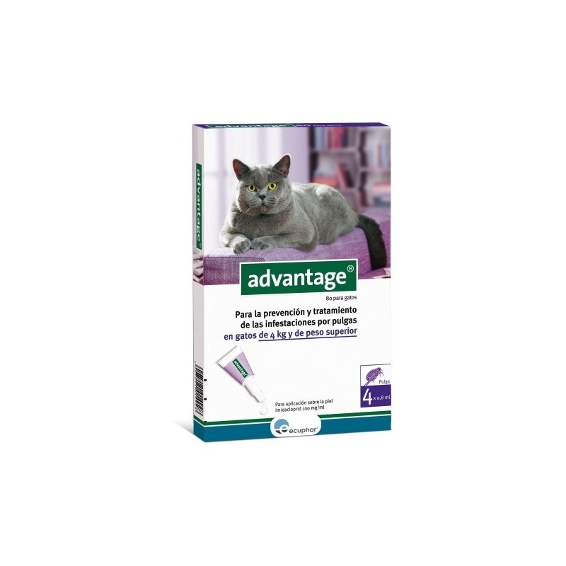 Advantage 80 Gato +4kg