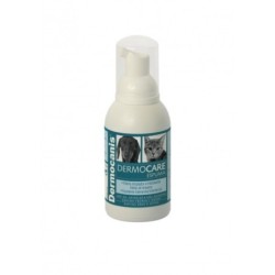 Dermocanis Dermocare Espuma Seca champú para perros y gatos