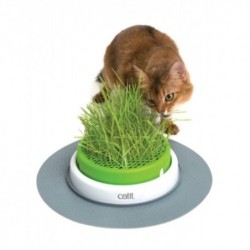 Catit Senses 2.0 Germinador Con Hierba Gatera gatos