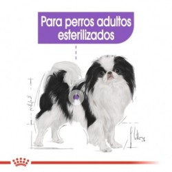 Royal Canin X small Sterilised