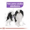 Foto 4 de Royal Canin X small Sterilised