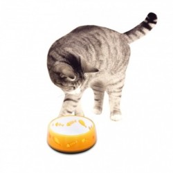 Comedero Modern cat Gatos 300ml Naranja