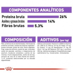 Royal Canin X small Sterilised