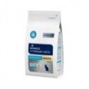 Foto 2 de Advance Feline Gastroenteric Sensitive