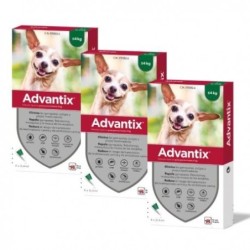 Advantix Pack Ahorro 12 pipetas para perros mini (0-4KG)