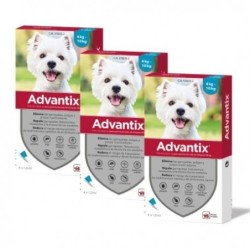 Advantix Pack Ahorro 12 pipetas para para perros pequeños (4-10kg)