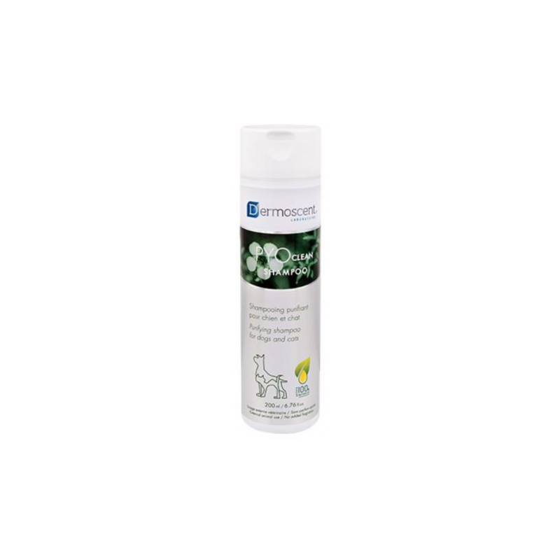 Dermoscent Pyoclean Champu perros y gatos