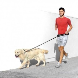 Correa Ergocomfort para perros Free Time Ferplast