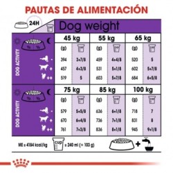 Royal Canin Giant Adulto Razas Gigantes, Peso 15 Kg