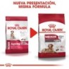 Foto 3 de Royal Canin Medium Ageing 10+ 15kg para perros mayores de 10 años