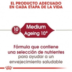 Royal Canin Medium Ageing 10+ 15kg para perros mayores de 10 años