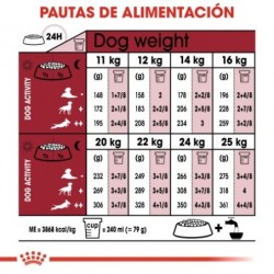 Royal Canin Medium Ageing 10+ 15kg para perros mayores de 10 años