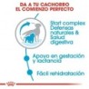 Foto 5 de Royal canin medium starter mother&babydog pienso perros raza mediana