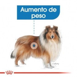 Royal canin maxi light pienso perros raza grande