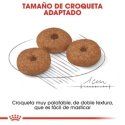 Royal Canin Mini Ageing +12 Razas Pequeñas, Peso 3,5 Kg.