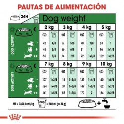 Royal Canin Mini Ageing +12 Razas Pequeñas, Peso 3,5 Kg.