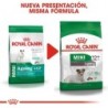 Foto 7 de Royal Canin Mini Ageing +12 Razas Pequeñas, Peso 3,5 Kg.