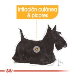 Royal canin dermacomfort mini pienso perros