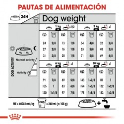 Royal canin dermacomfort mini pienso perros