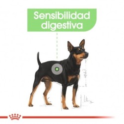 Royal canin mini digestive care pienso perros raza pequeña