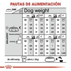 Royal canin mini digestive care pienso perros raza pequeña