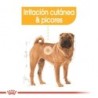 Foto 5 de Royal canin dermacomfort medium pienso perros